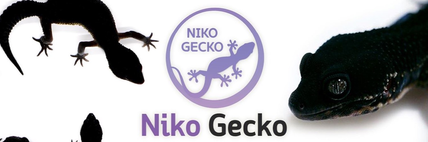 Niko Gecko店舗ロゴ